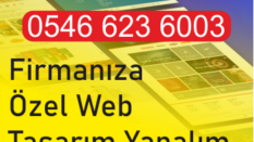 Salihli Web Tasarım